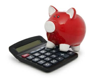Red piggy bank stands on calculator